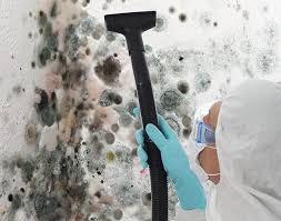 Best Biohazard Mold Removal in USA